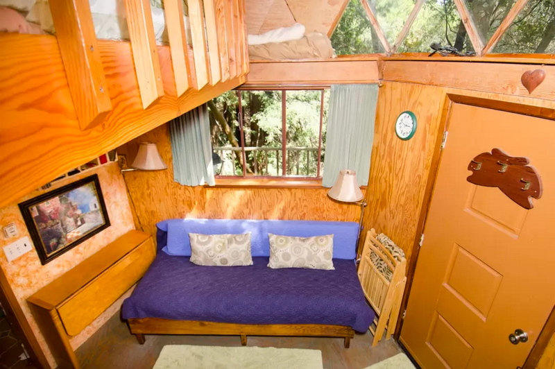 Illustration for article titled Esta diminuta cabaña de un bosque de California es la casa más popular en Airbnb